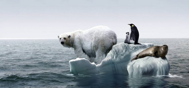 Examples of unintended consequences in life image